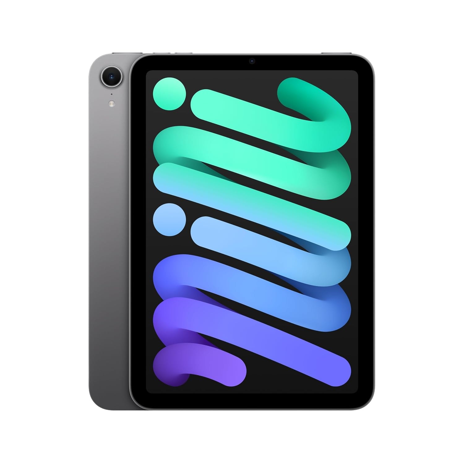 Space Grey Apple iPad mini with an 8.3-inch screen